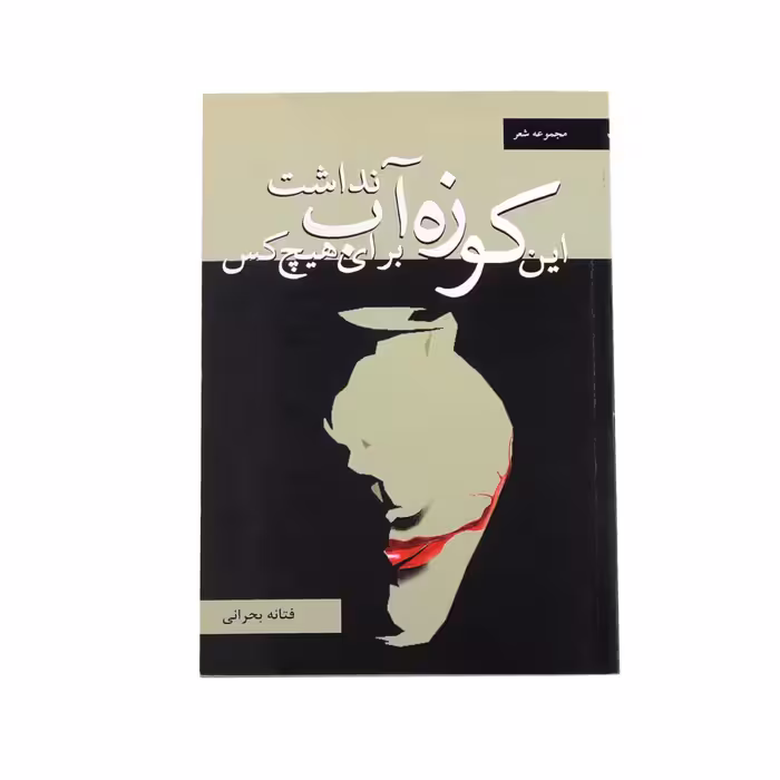 کتاب این کوزه برای هیچ کس آب نداشت اثر فتانه بحرانی نشر خیابان