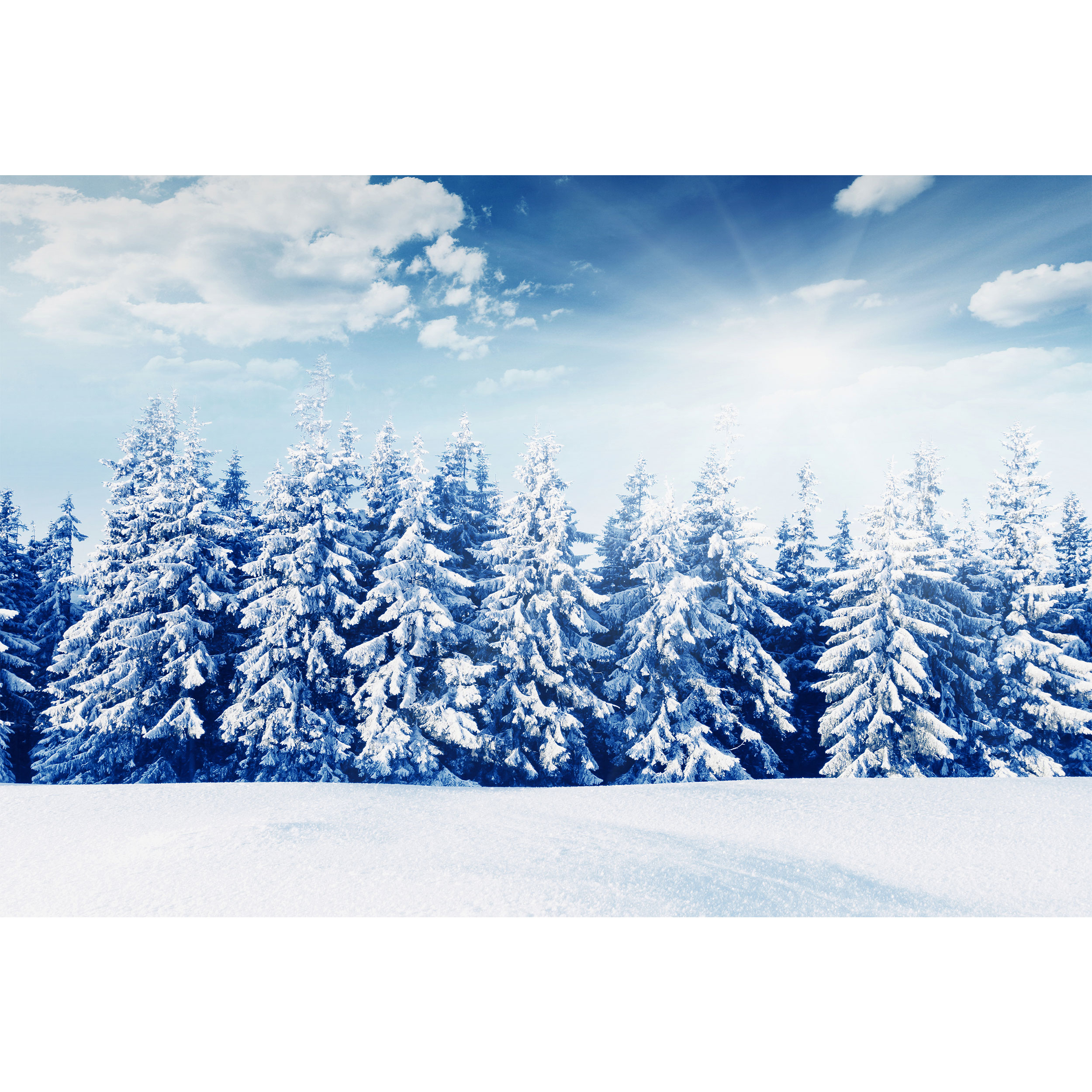 تابلو شاسی مدل برف و منظره برفی T6831