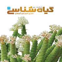 دایره المعارف مصور گیاه‌شناسی