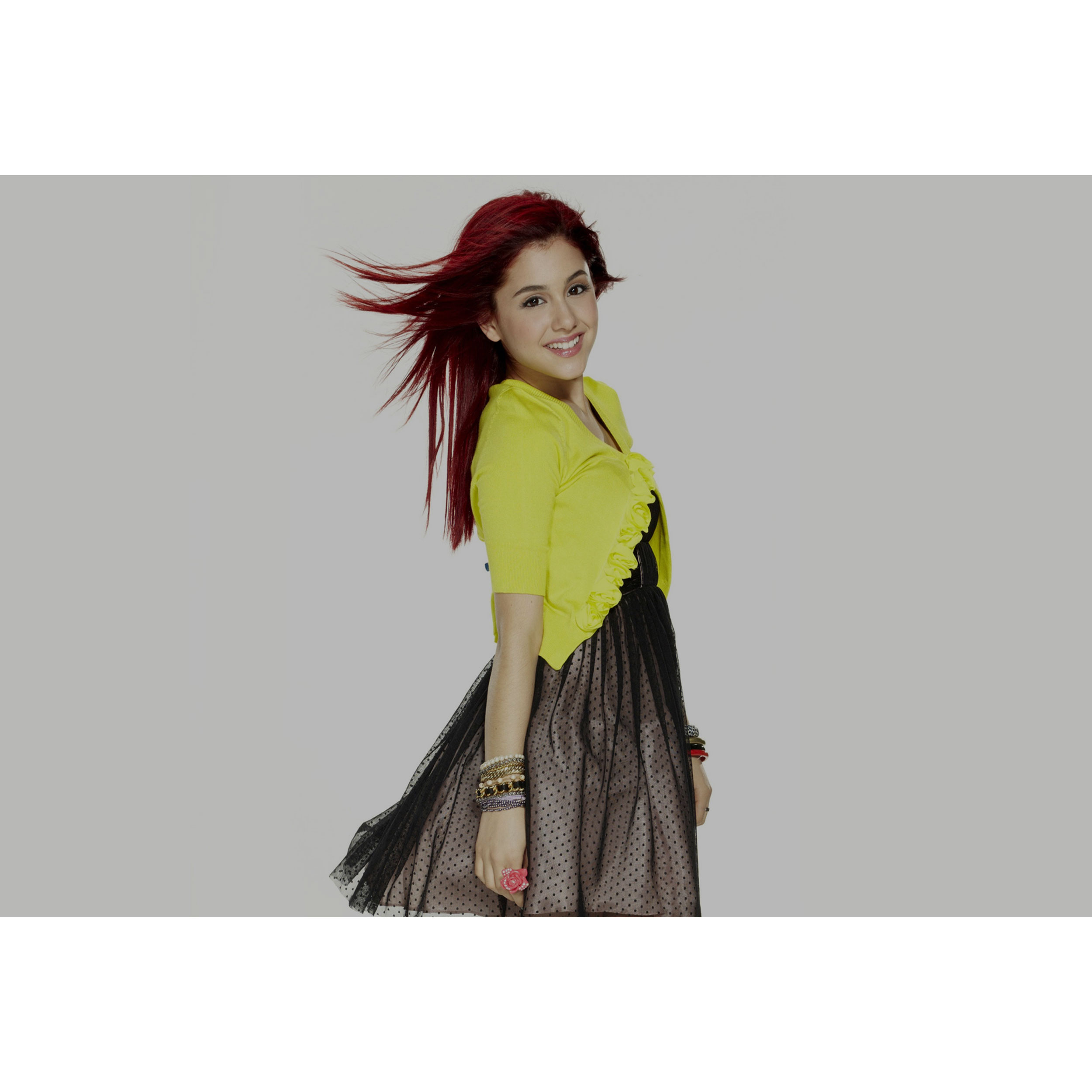 تابلو شاسی مدل خواننده آریانا گرانده T6045