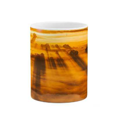 ماگ کاکتی طرح فانتزی مدل mgs15762