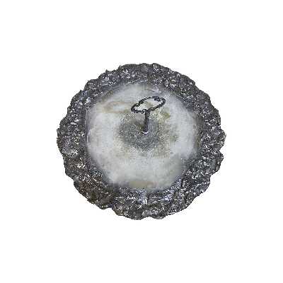 ظرف سرو مدل 008