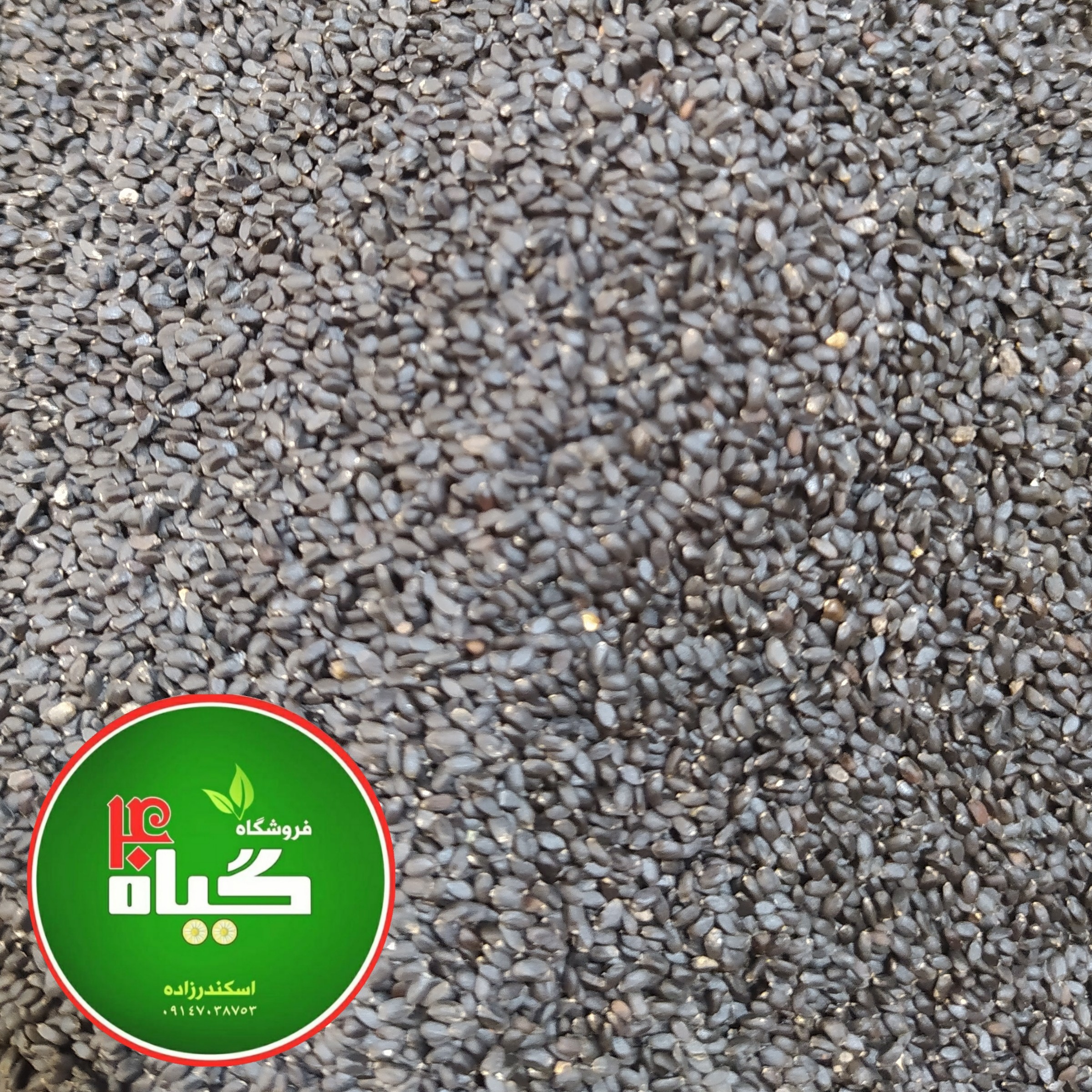 تخم شربتی درشت بار لوکس بدون اضافات (500گرمی) عطاری چهل گیاه 