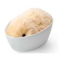 خرید ربات هوشمند Moflin Brown AI Pet Robot با بهترین قیمت