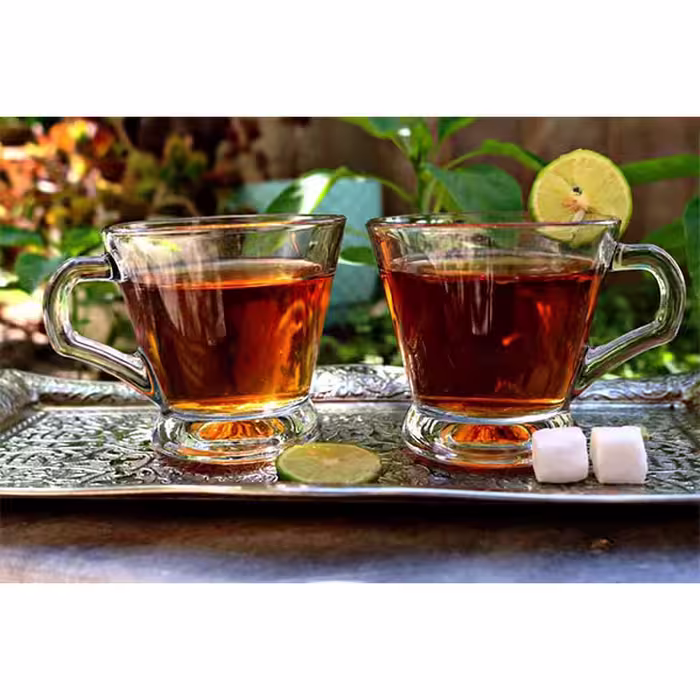 فنجان مدل fergo کد gh254 بسته 6 عددی