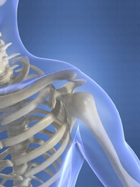 خرید و دانلود عکس IranBCS کد 27552 | پیک فاکس | Pic Fox