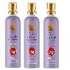  عطر جیبی زنانه برد برند کالکشن مدل اکلت حجم 25 میلی لیتر مجموعه 3 عددی