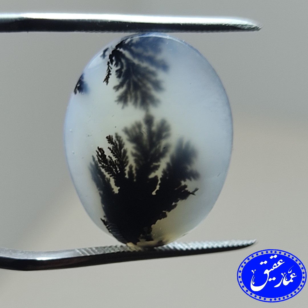 نگین عقیق شجر دوتا تک درخت (از هر طرف نگاه کنی تک درخته)