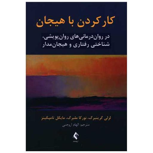 کتاب کار کردن با هیجان اثر لزلی گرینبرگ ، نورکا ملبرگ