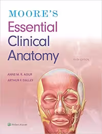 󾕇 دانلود کتاب Moore'S Essential Clinical Anatomy, 6th ed, 2019 - دانلود کتاب های دانشگاهی