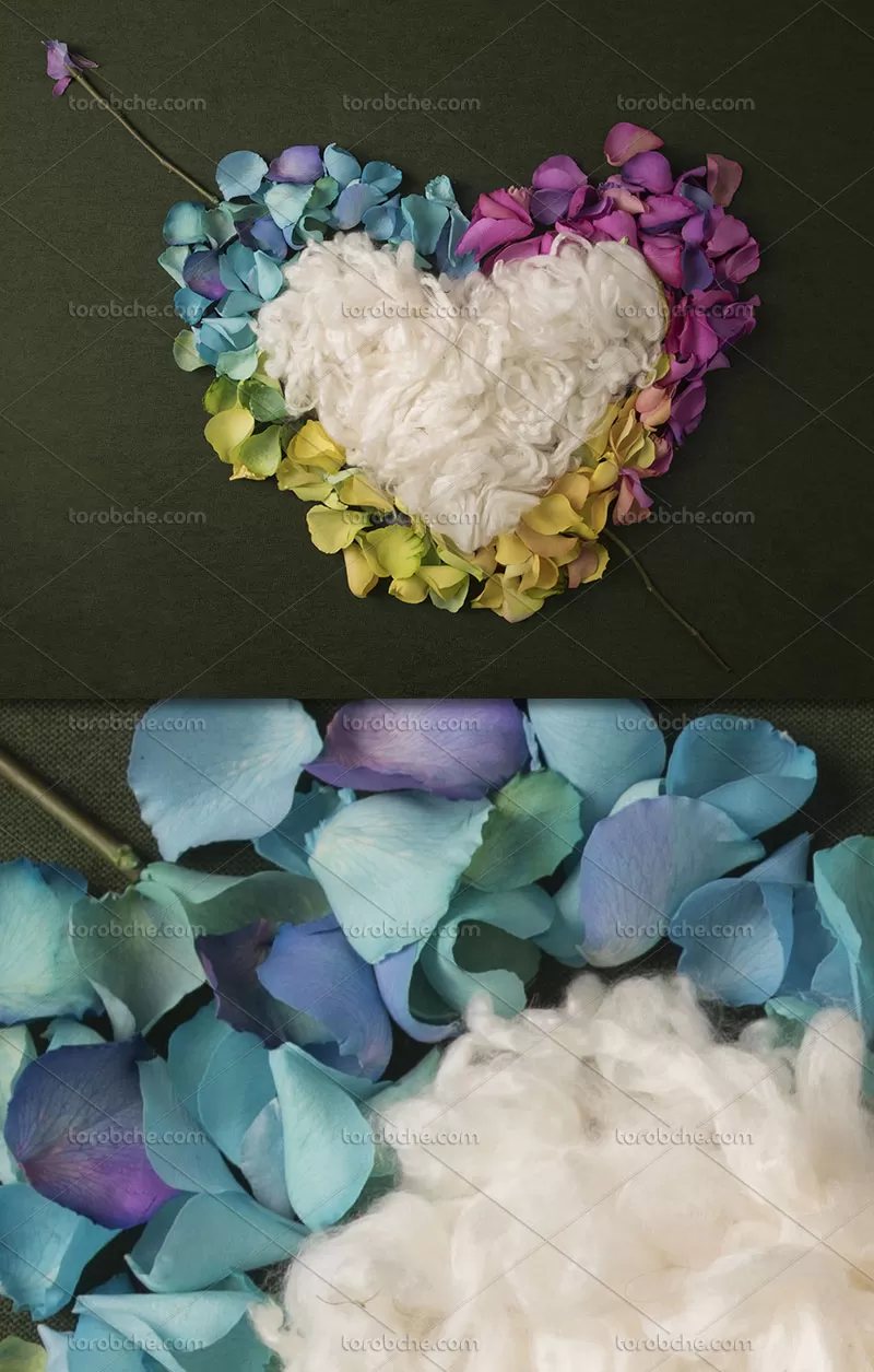 بک گراند عکاسی نوزاد قلب | گرافیک با طعم تربچه