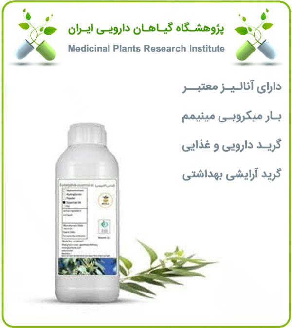 روغن اکالیپتوس