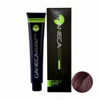 رنگ مو گانسا شماره C6 حجم 120 میلی لیتر رنگ بلوند دودی تیره 