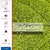 برچسب پوششی ماهوت مدل Leaf-Texture مناسب برای تبلت مایکروسافت Surface Pro 3 2014