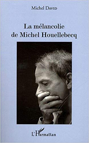 خرید و دانلود نسخه کامل کتاب La mélancolie de Michel Houellebecq