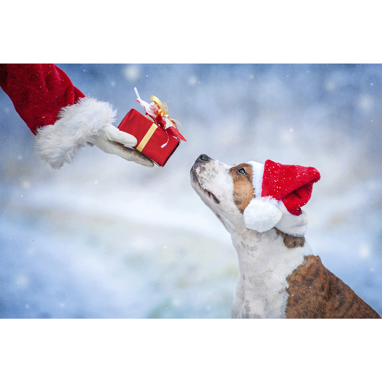 تابلو شاسی سری حیوانات دوست داشتنی کد 168