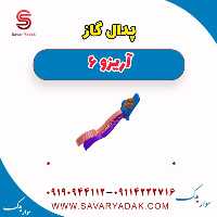 پدال گاز آریزو 6