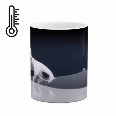 ماگ حرارتی کاکتی طرح نقاشی مدل mgh13954