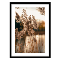 قیمت و خرید تابلو دکوراتیو مدل عکاسی طبیعت کد 0237