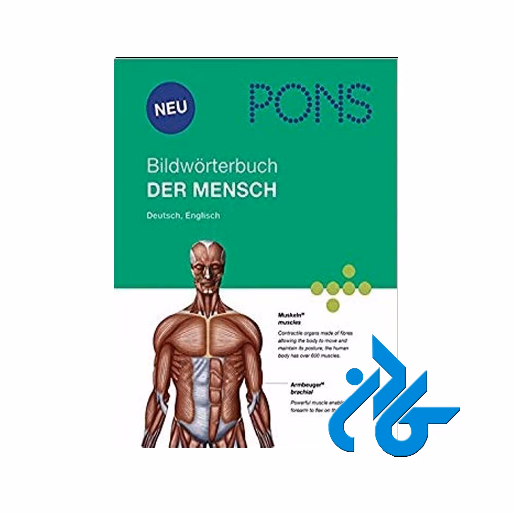 Bildworterbuch خرید از فروشگاه کتاب کادن تا 50% تخفیف