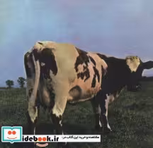 قیمت و خرید کتاب مادر قلب اتمی اثر گروه پینک فلوید | ایده بوک