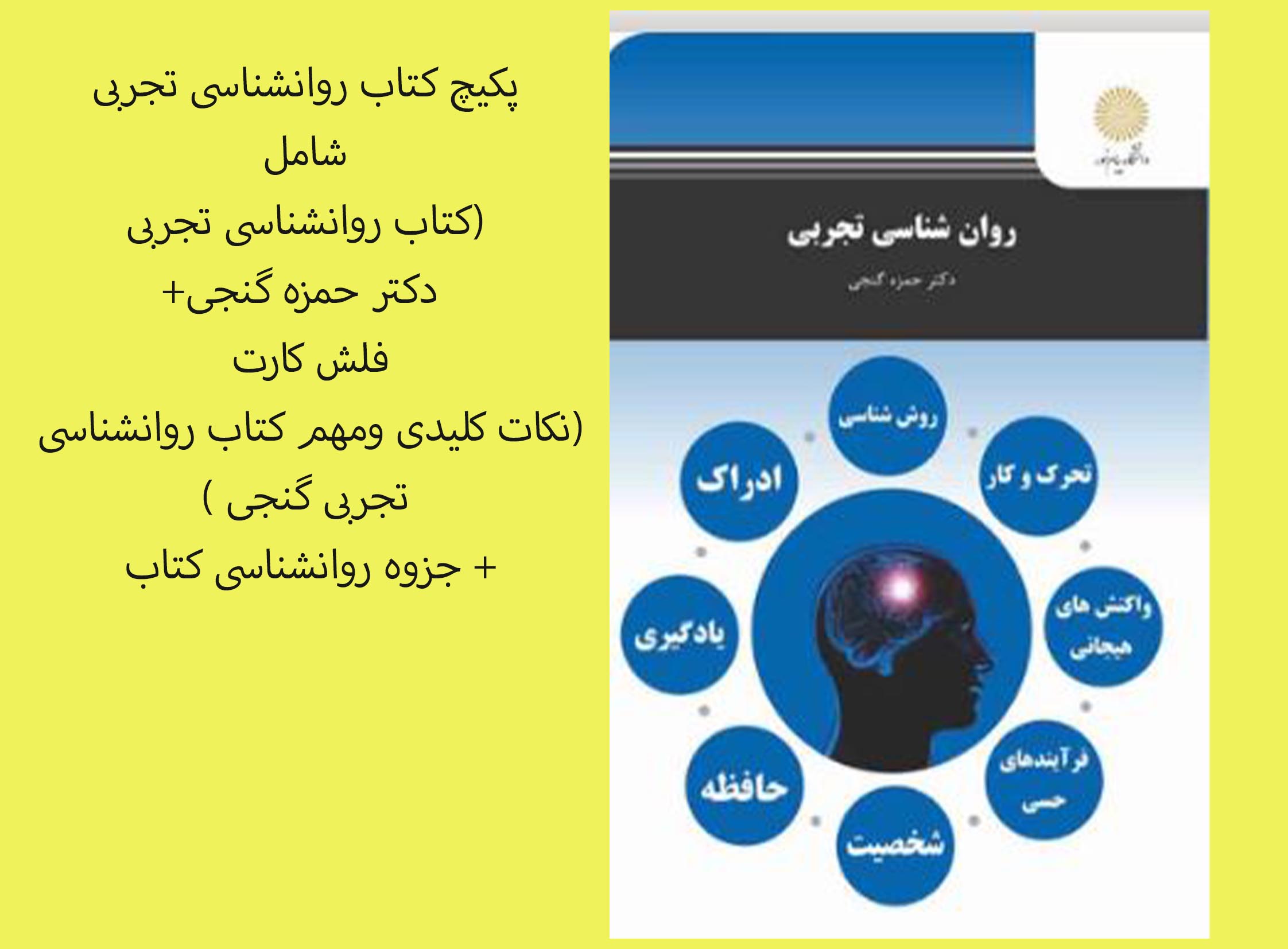 PDF کتاب روانشناسی تجربی دکتر حمزه گنجی به همراه فلش کارت(نکات کلیدی) و جزوه روانشناسی تجربی