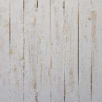 بک دراپ Backdrop کد 0119