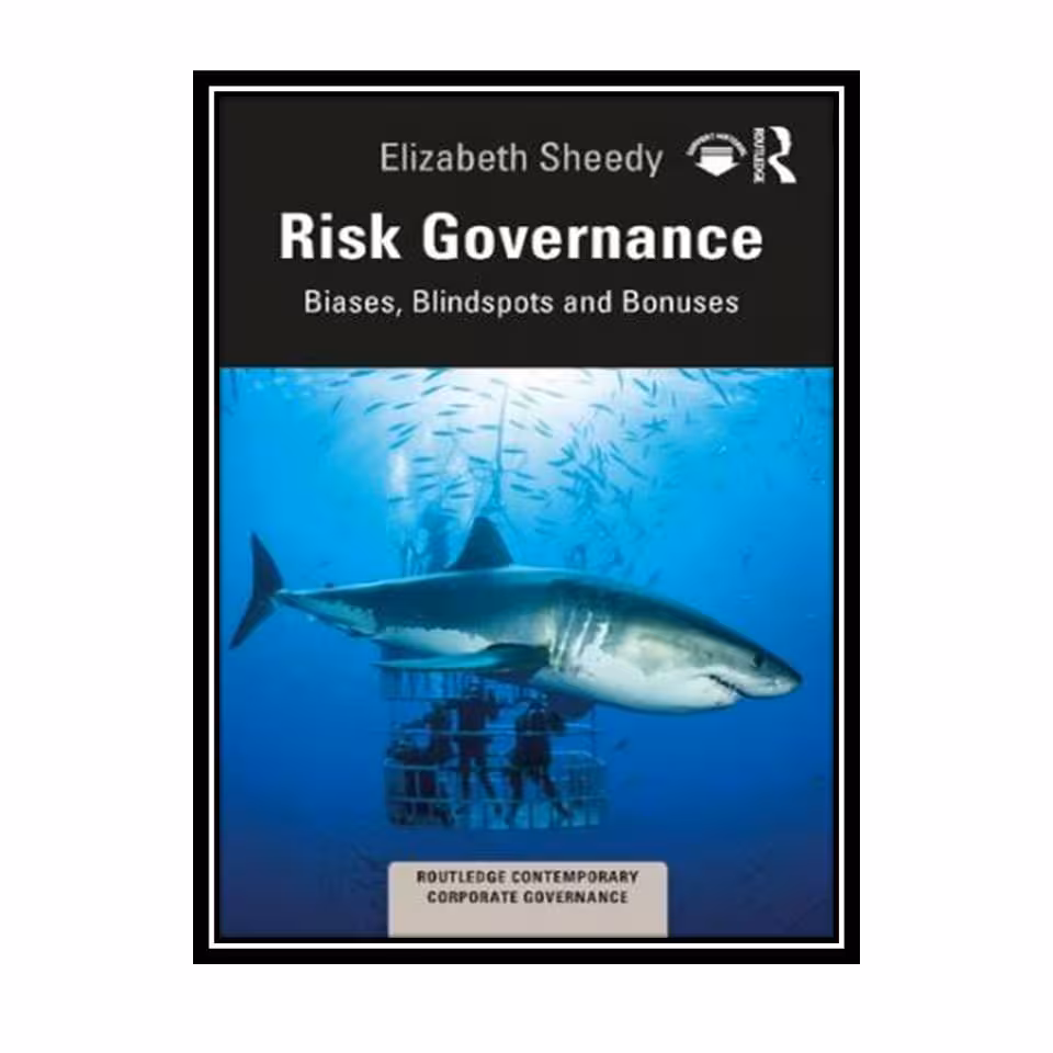 کتاب Risk Governance: Biases, Blind Spots and Bonuses اثر Elizabeth Sheedy انتشارات مؤلفین طلایی