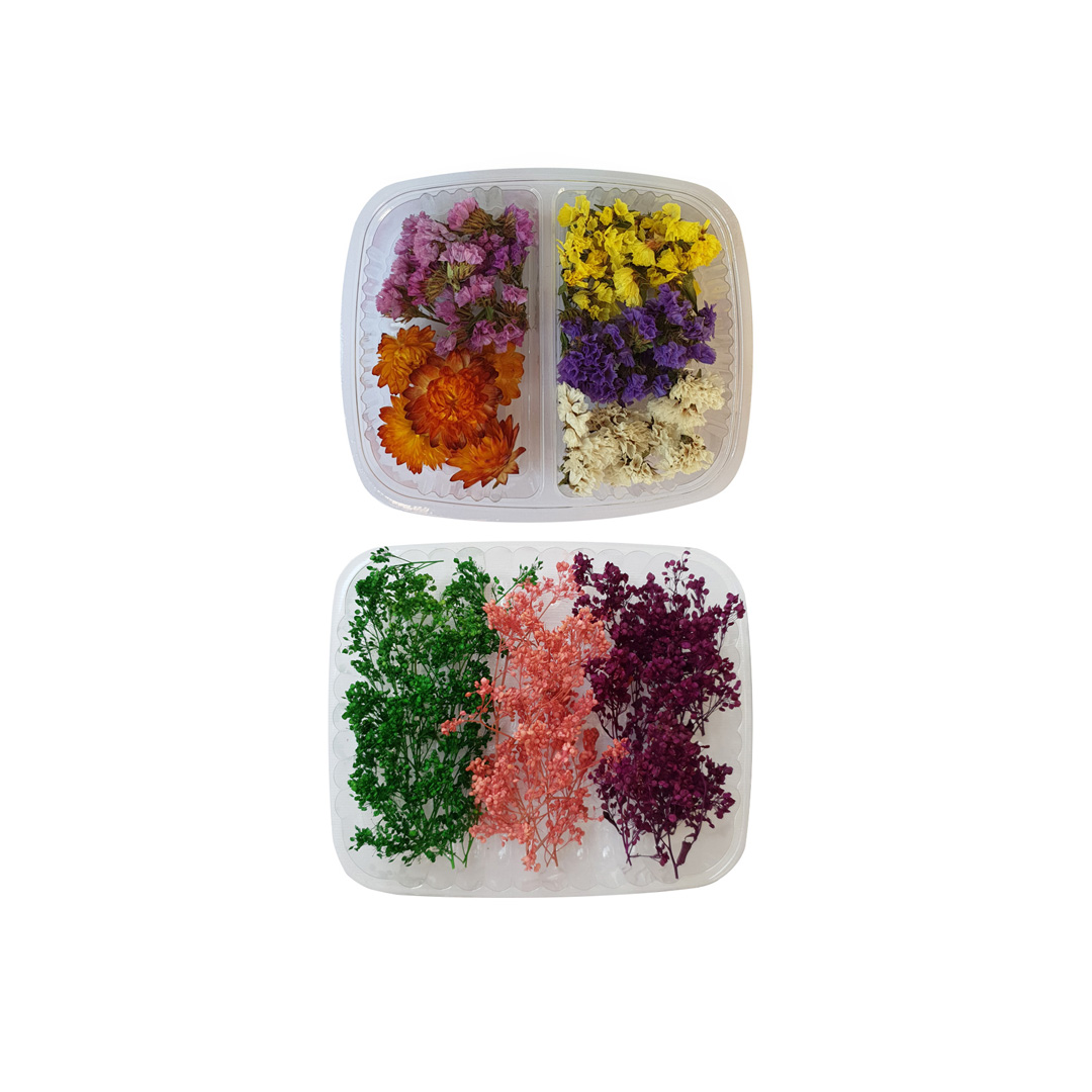 گل خشک مدل mixed 6 مجموعه دو عددی
