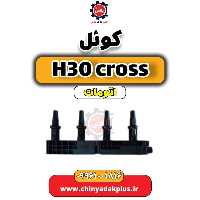 کوئل دانگ فنگ H30 کراس اتوماتیک