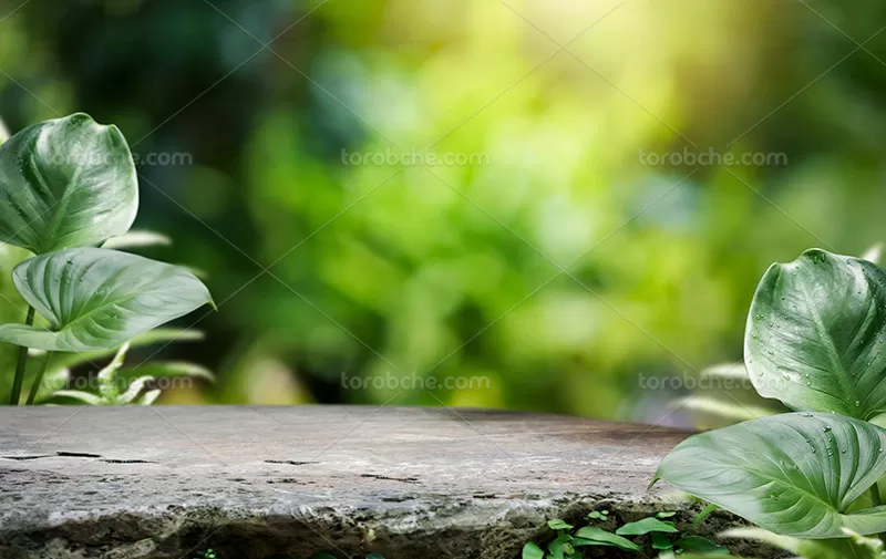 فایل پس زمینه عکاسی محصول | گرافیک با طعم تربچه