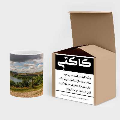 ماگ کاکتی طرح منظره مدل mgs13202