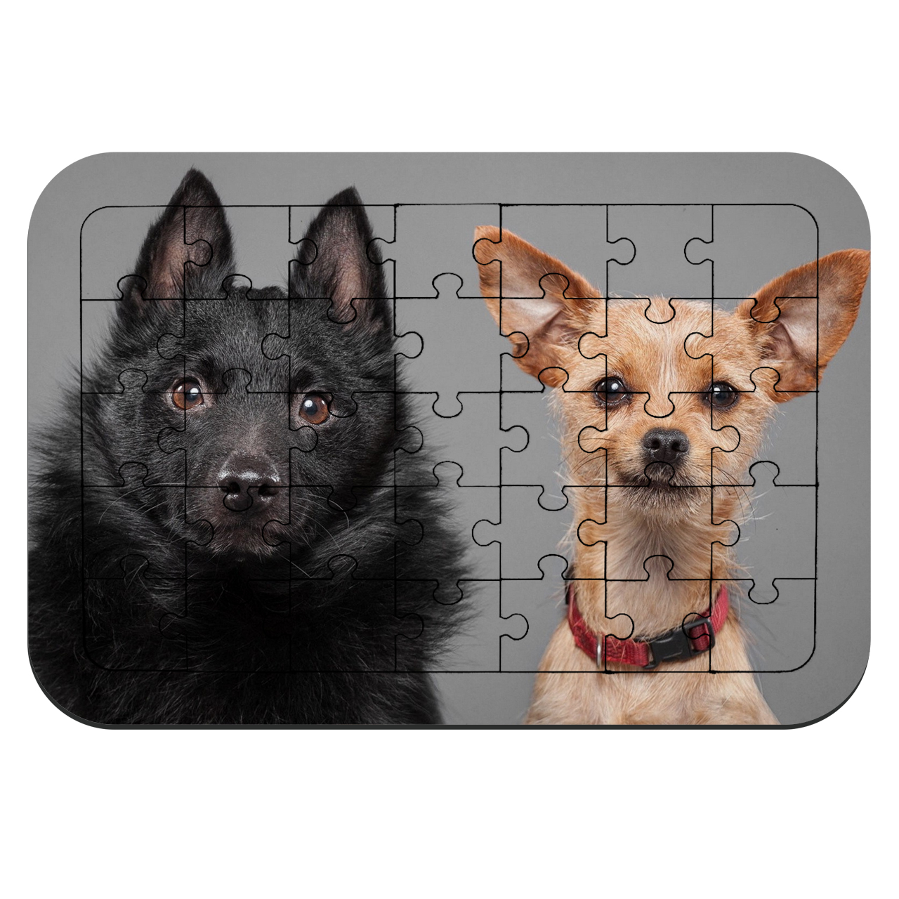 پازل 35 تکه طرح سگ شیپِرک مدل NI675