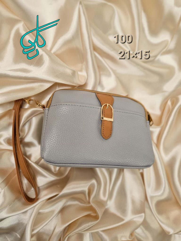 خرید کیف دستی و دوشی زنانه جدید و با کیفیت مدل پاسپورتی کد 2615009 - ردگل