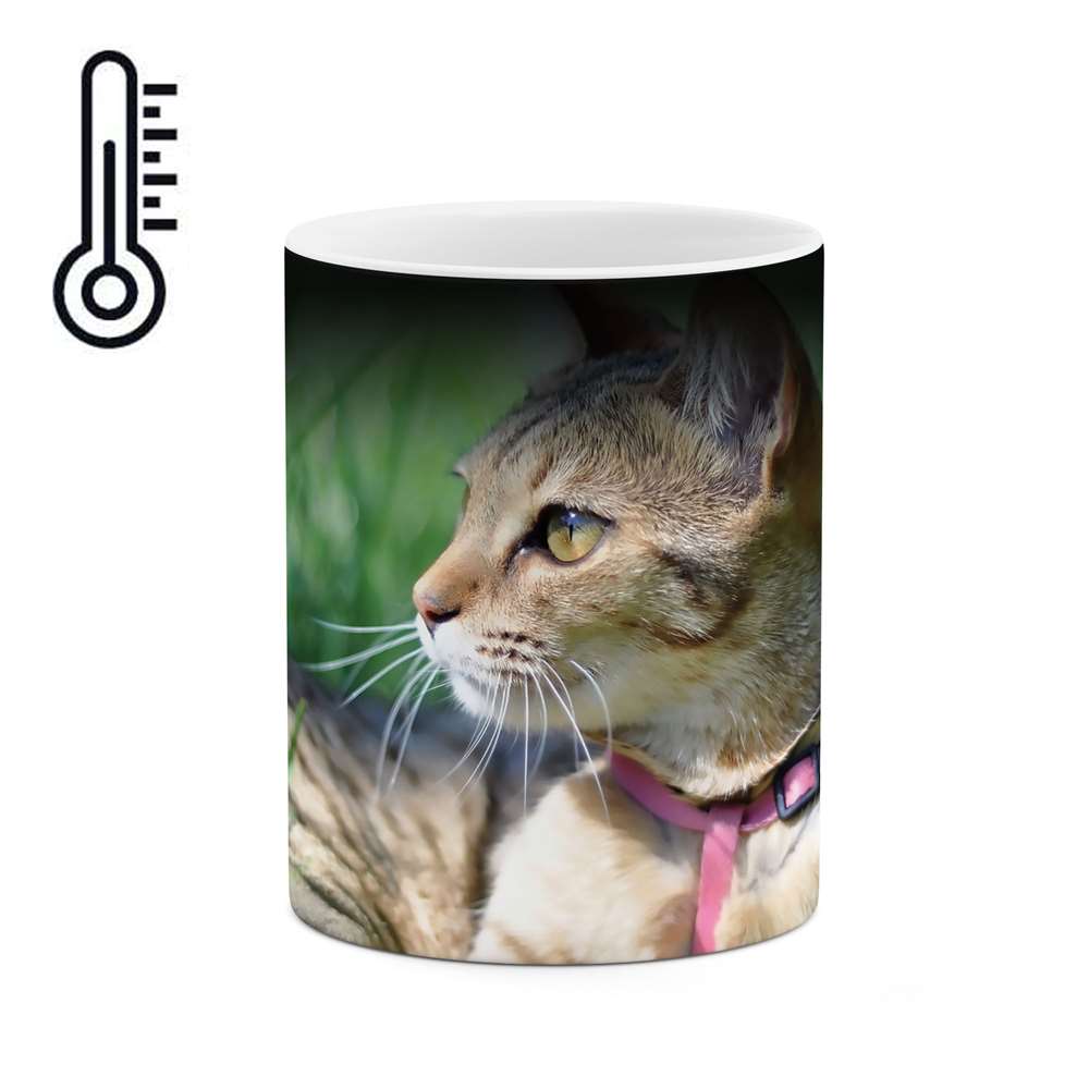 ماگ حرارتی طرح گربه مدل mgh10077