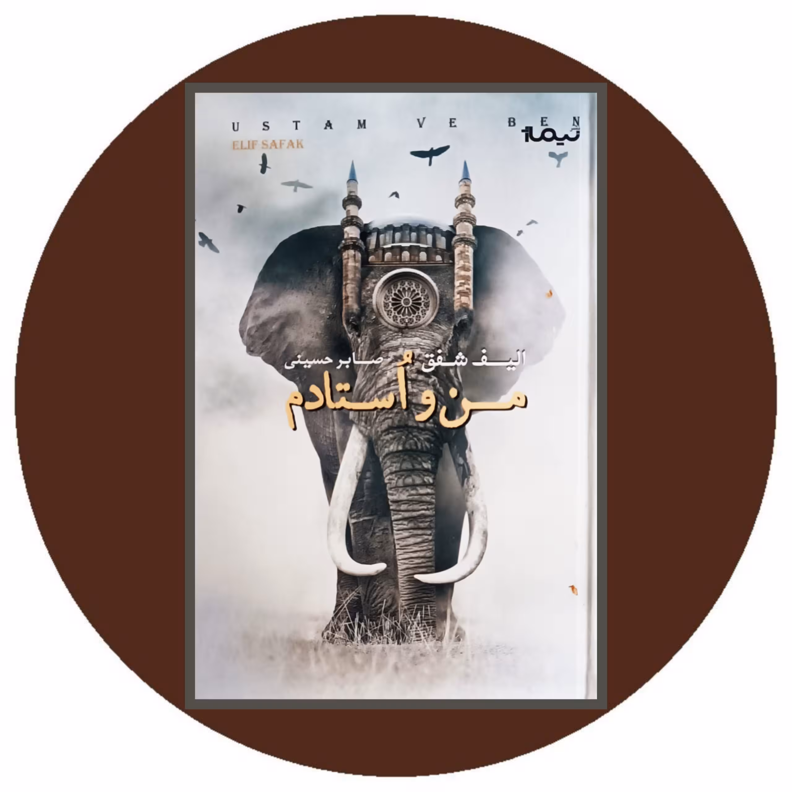 کتاب من و استادم (نیماژ) - خرید با تخفیف چهل درصد از کتاب دایره قهوه ای