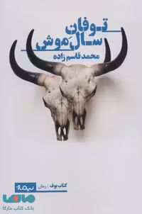 توفان سال موش نشر نیماژ