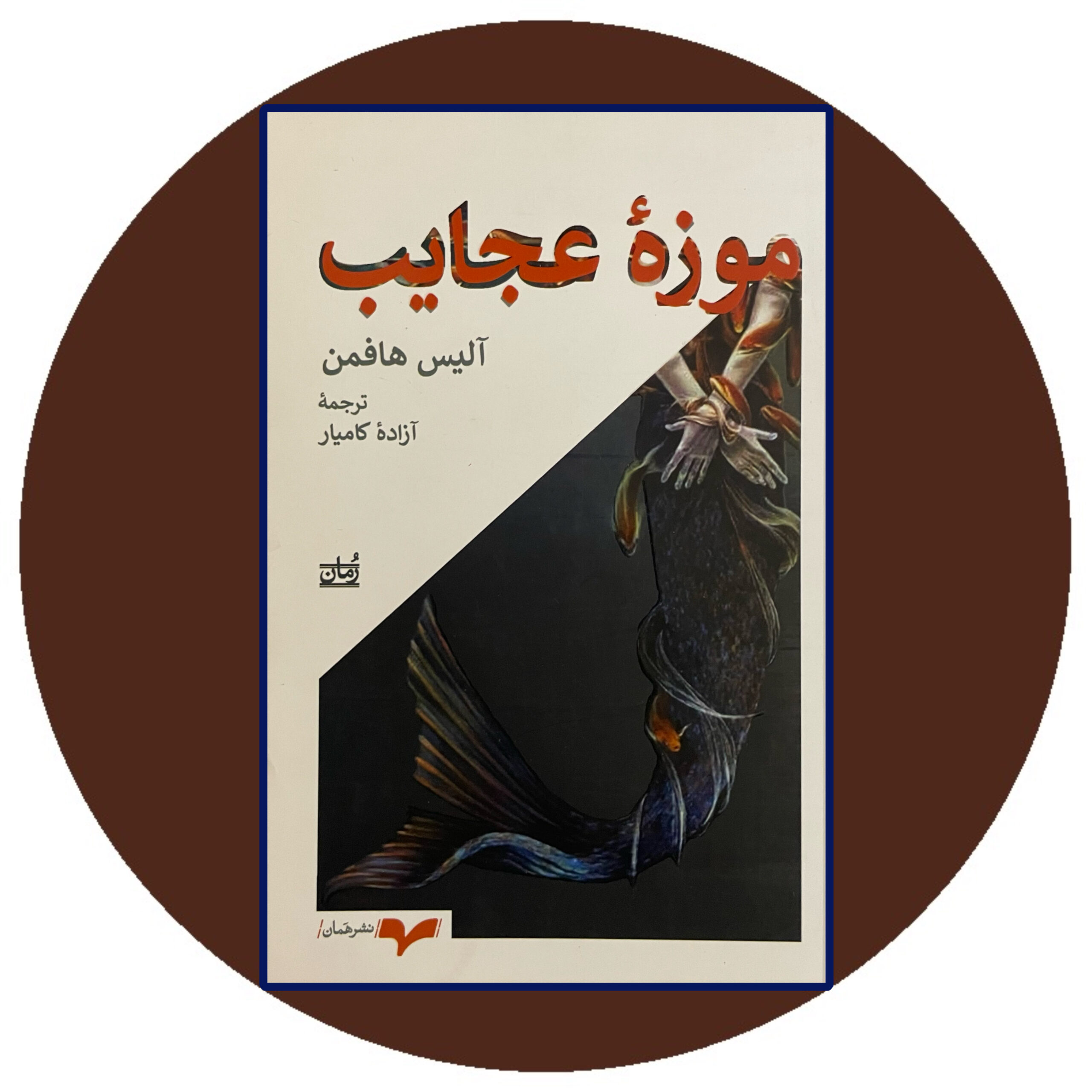 کتاب موزه عجایب - خرید با تخفیف چهل درصد از کتاب دایره قهوه ای -