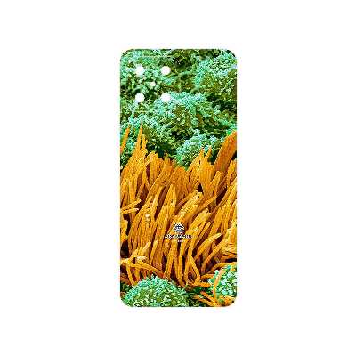 برچسب پوششی ماهوت مدل Atom Universe 6 مناسب برای گوشی موبایل آنر X8