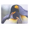ماوس پد طرح پنگوئن کد B529