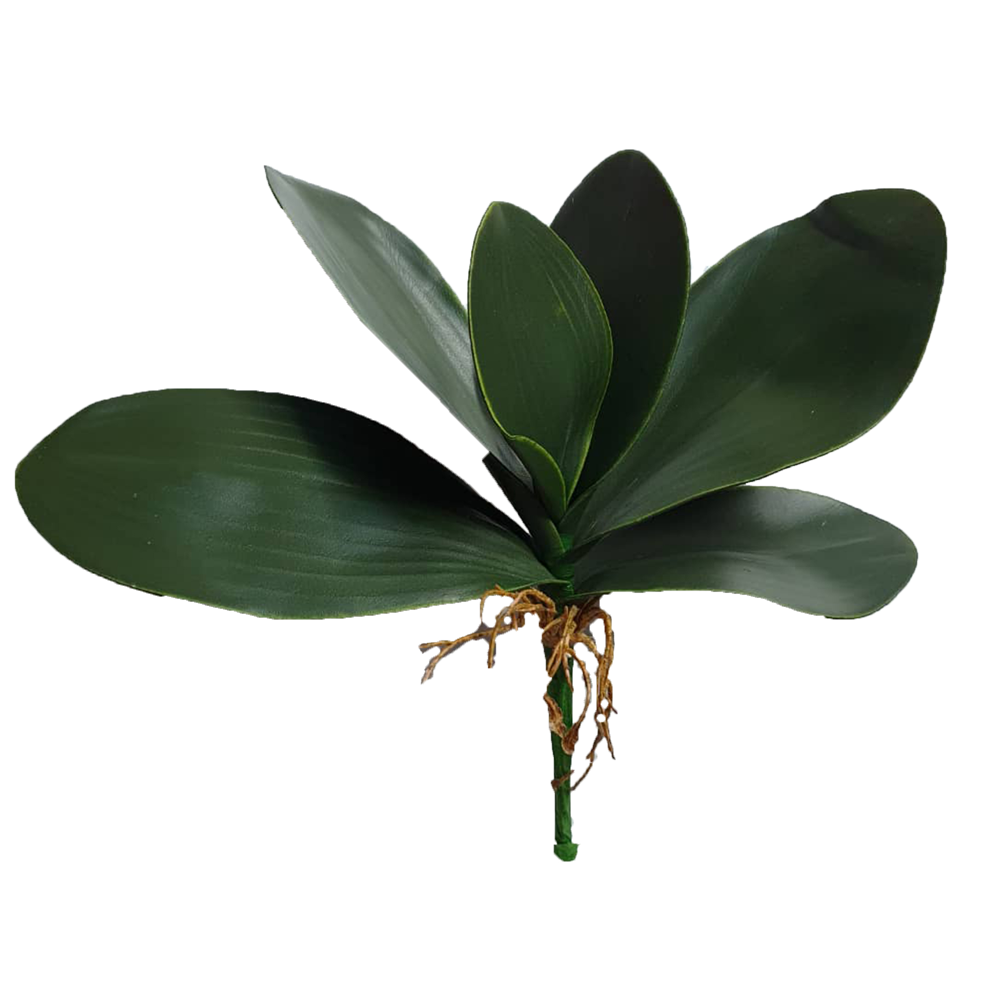 گل مصنوعی مدل برگ ارکیده 8855