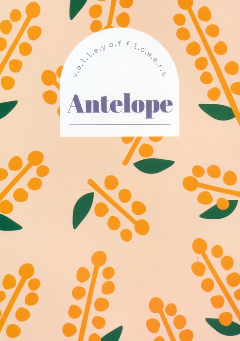 دفتر یادداشت خط دار FLOWER VALLEY (طرح ANTELOPE،کد 752) - ناشربوک | خرید آنلاین کتاب