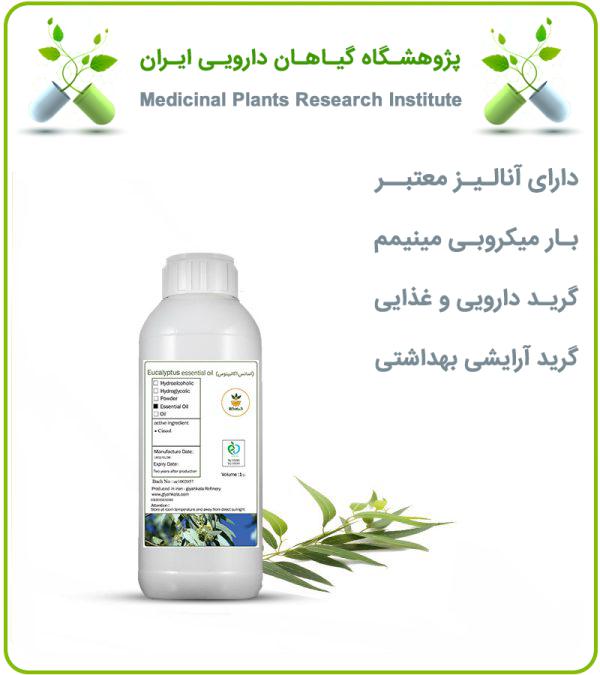 اسانس اکالیپتوس طبیعی