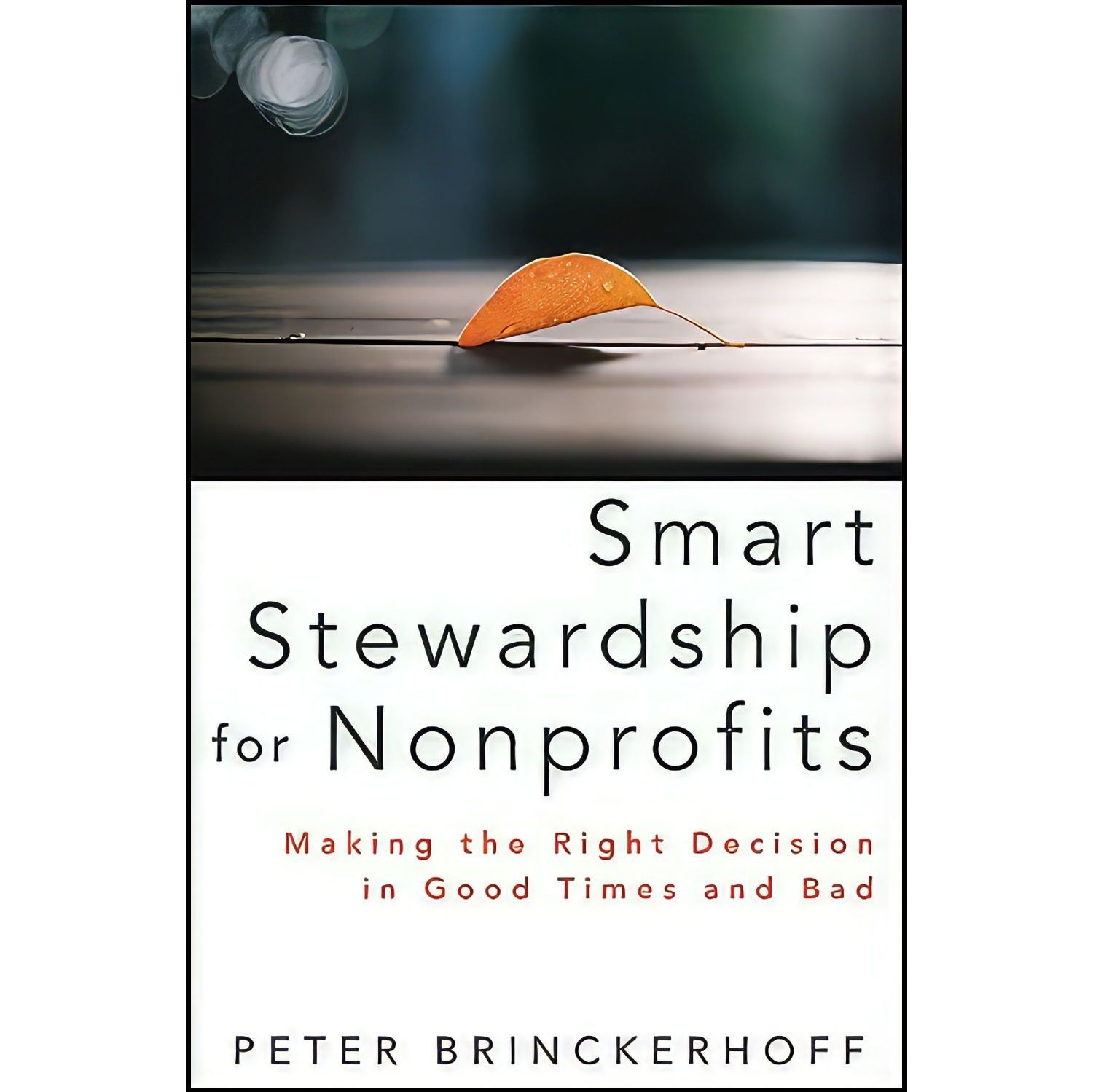 کتاب زبان اصلی Smart Stewardship for Nonprofits اثر Peter C Brinckerhoff