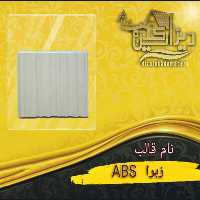 قالب زبرا abs