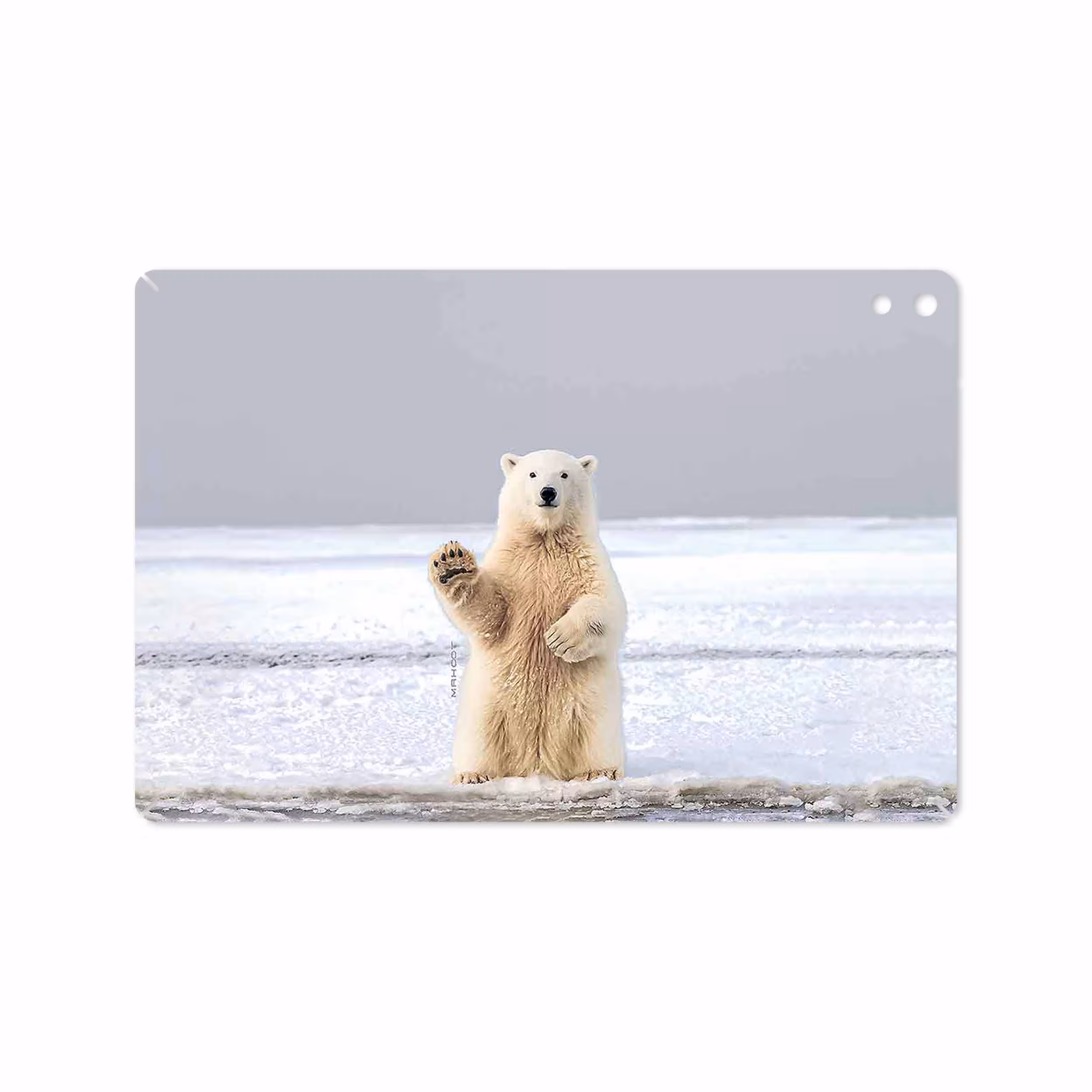 برچسب پوششی ماهوت مدل Polar bear مناسب برای تبلت اچ تی سی Nexus 9 2014