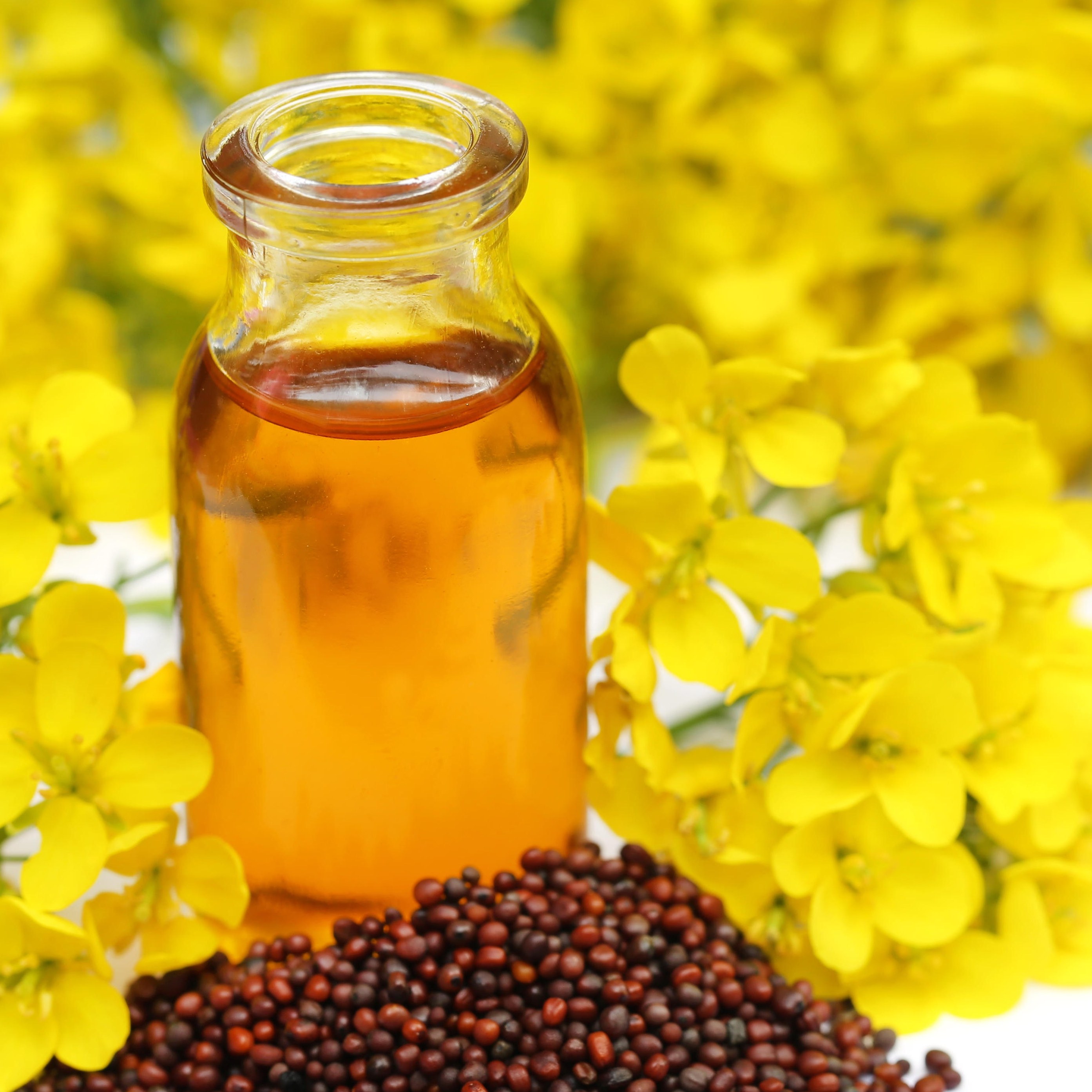 روغن خردل خالص (بدون حذف و اضافه) - 100 میلی لیتر