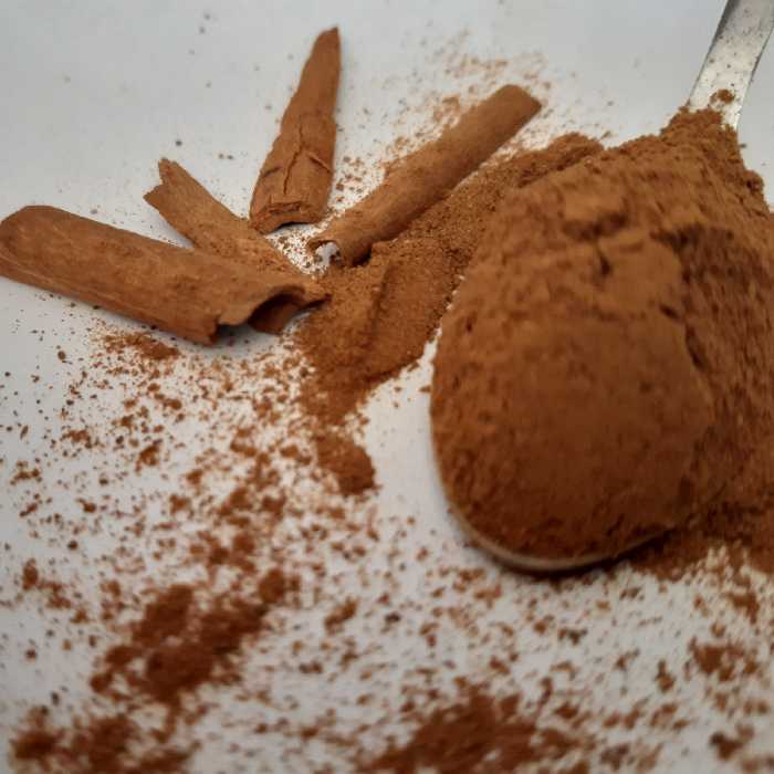 پودردارچین درجه یک 100گرم چاشنی خاتون