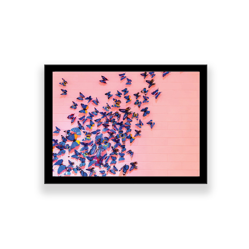 تابلو طرح پروانه | دنیای قاب