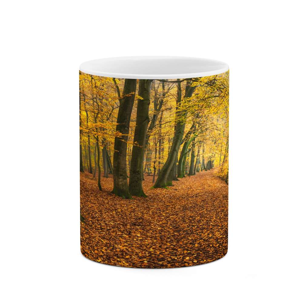 ماگ کاکتی طرح منظره مدل mgs15610